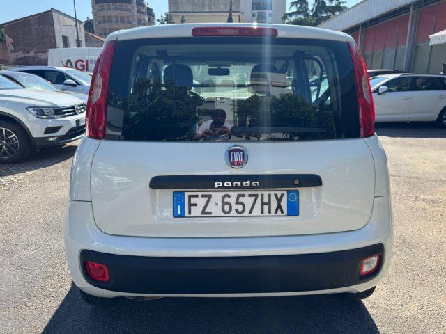 FIAT Panda 1.2 Easy (AUTOCARRO N1 4 POSTI)