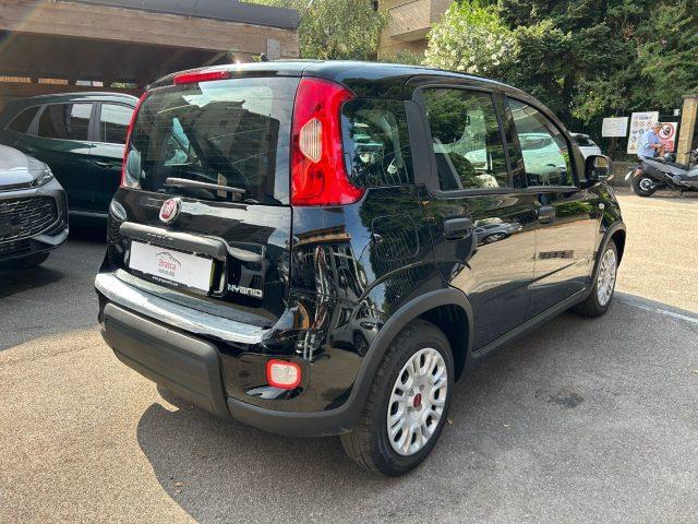 FIAT Panda 1.0 FireFly S&S * PREZZO PROMO *