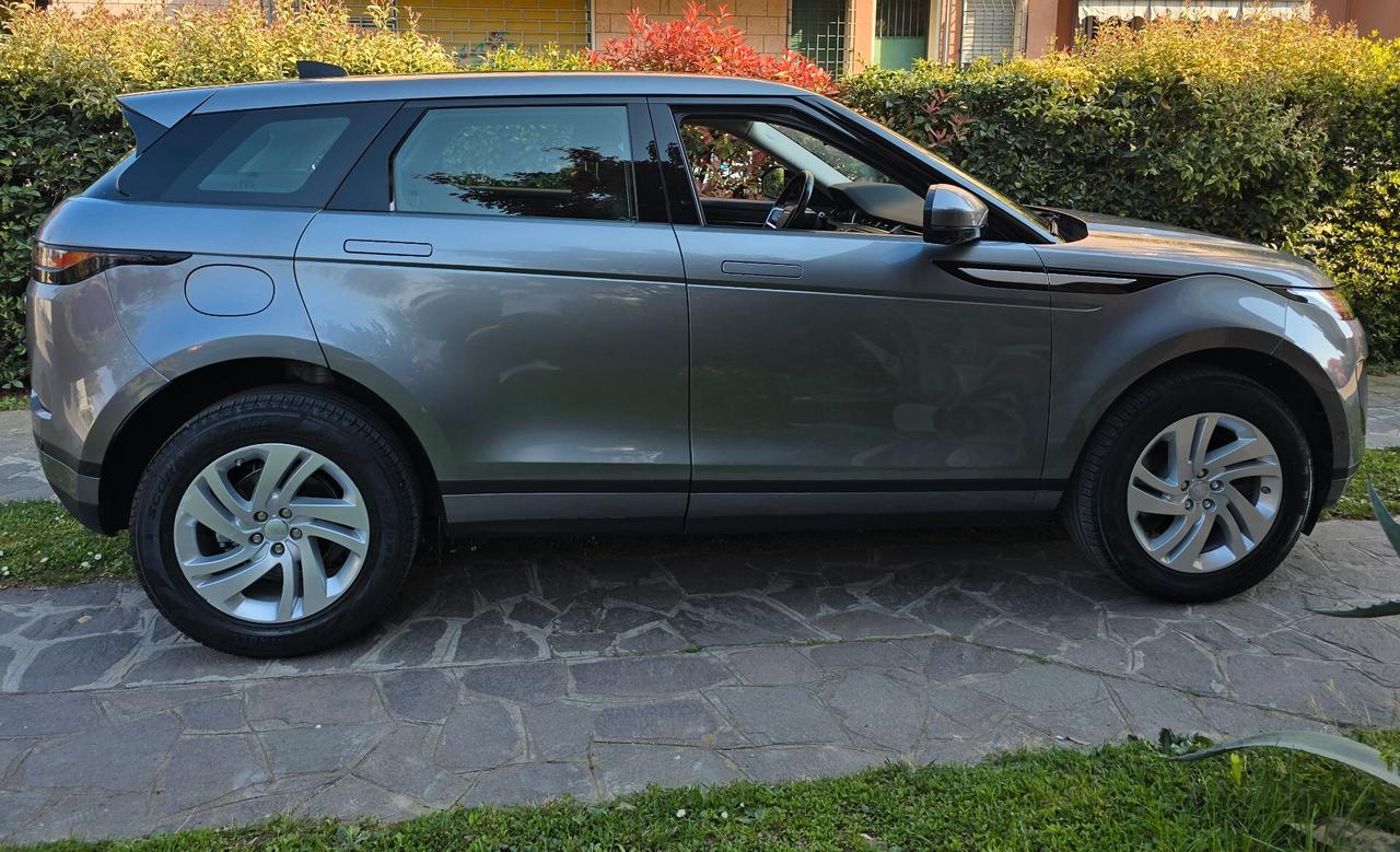 Land Rover Range Evoque 2.0D I4 163 CV AWD Auto SE