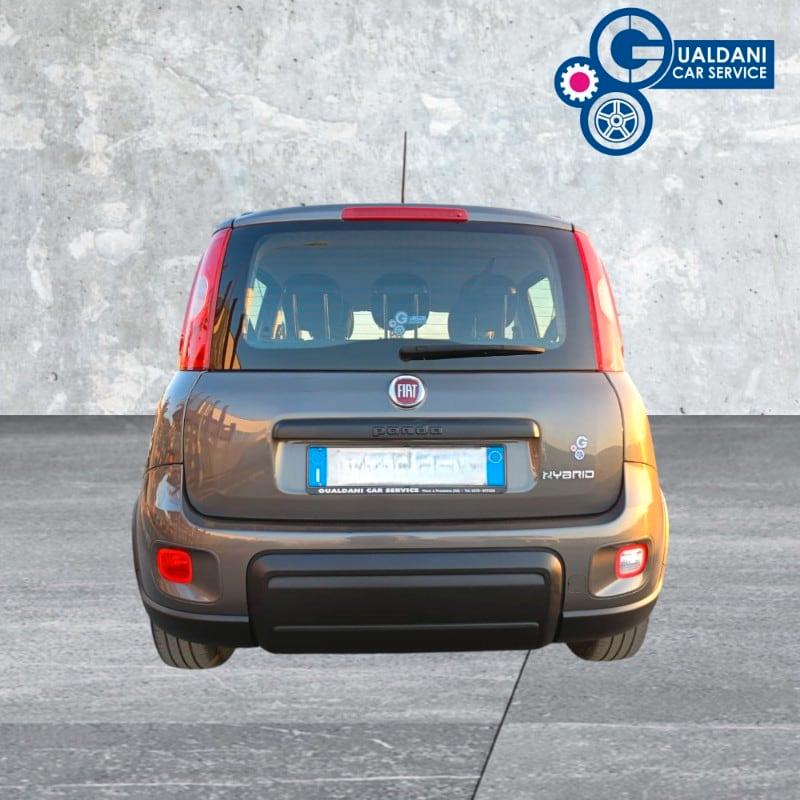 FIAT Panda 3ª serie Panda 1.0 FireFly S&S Hybr...