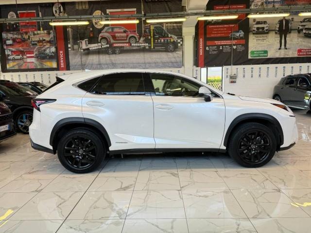 Lexus NX 300h 2.5 Premium 4wd cvt