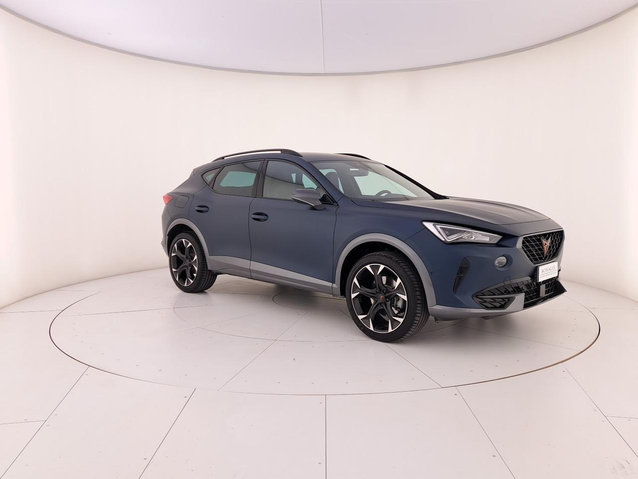 Cupra Formentor 2.0 tsi 4drive 190cv dsg