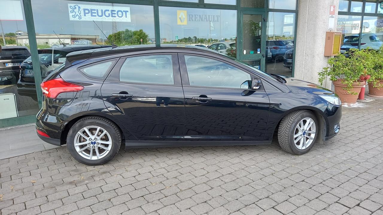 Ford Focus 1.5 TDCi 120 CV Start&Stop Business