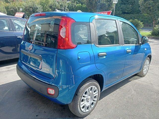 FIAT Panda 1.0 FireFly S&S Hybrid Icon