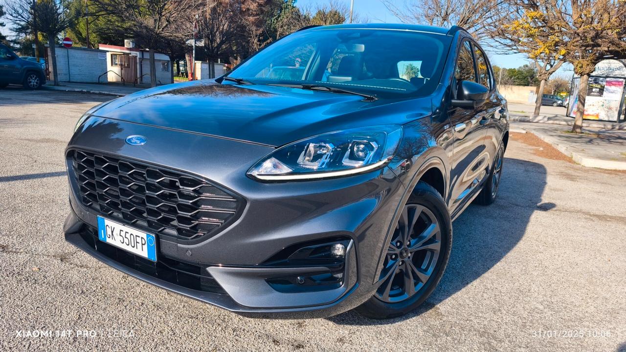 Ford Kuga 1.5 EcoBlue 120 CV aut. 2WD ST-Line 2022