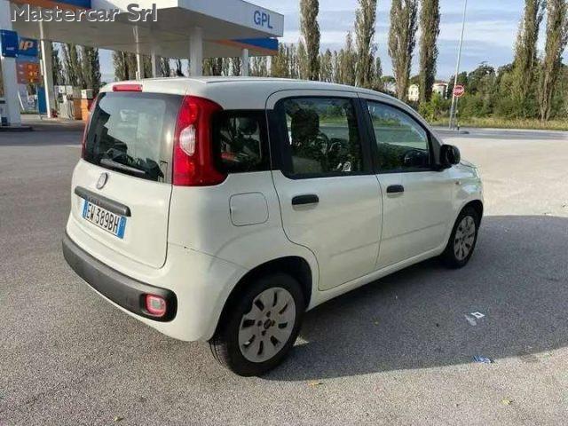 FIAT Panda Panda 1.3 mjt 16v Pop 75cv NEOPATENTATI - EW389BH