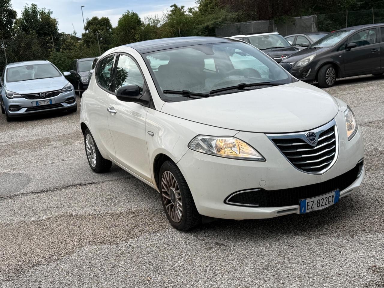 Lancia Ypsilon 1.2 69 CV 5 porte Elefantino