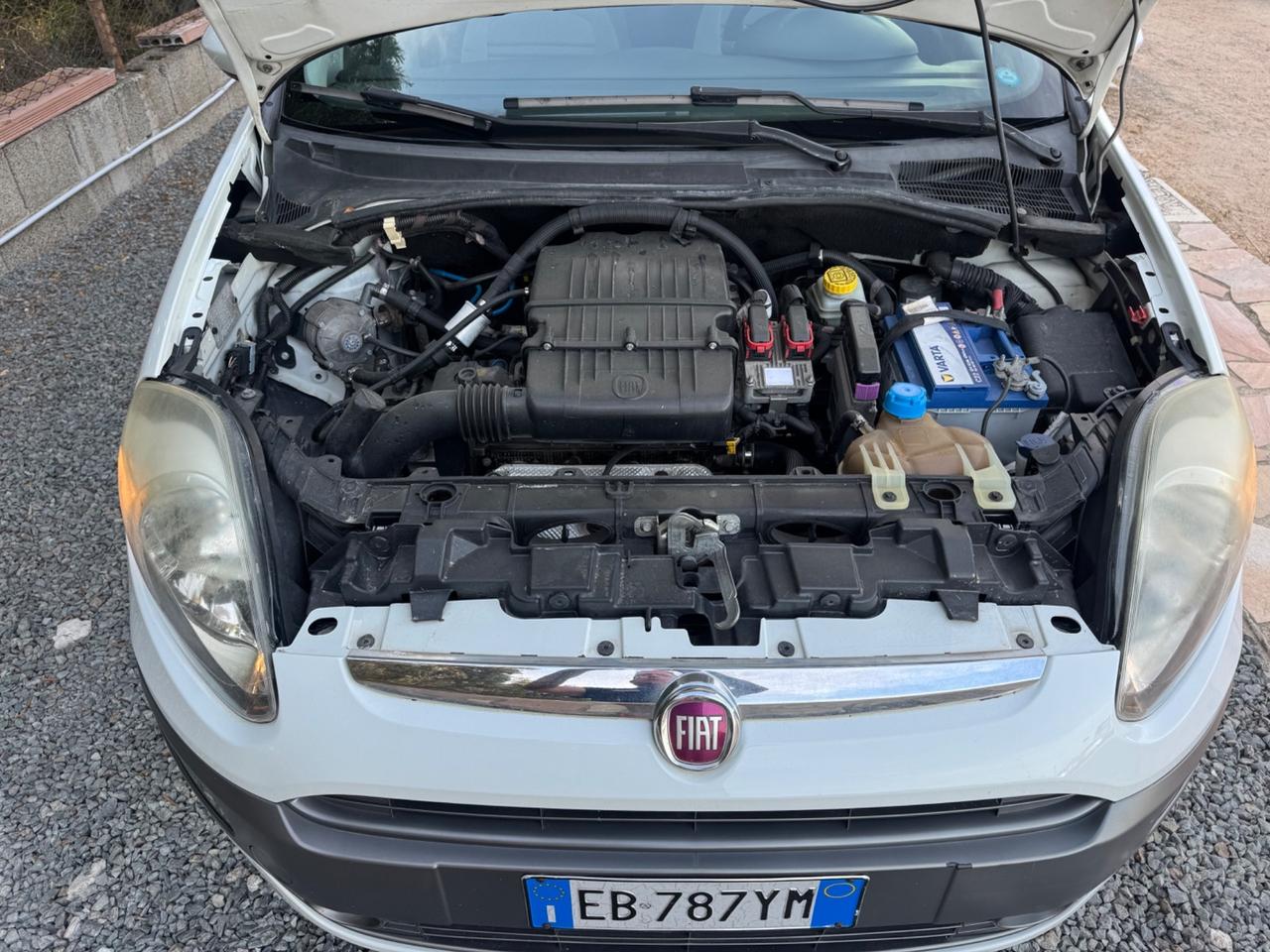 Fiat Punto Evo 1.4 5 porte Active GPL