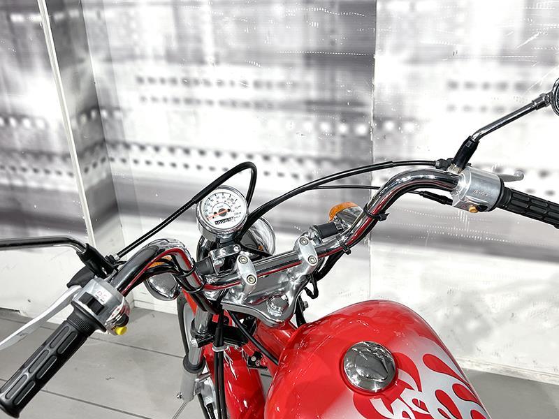 Pagsta Regal Raptor 100