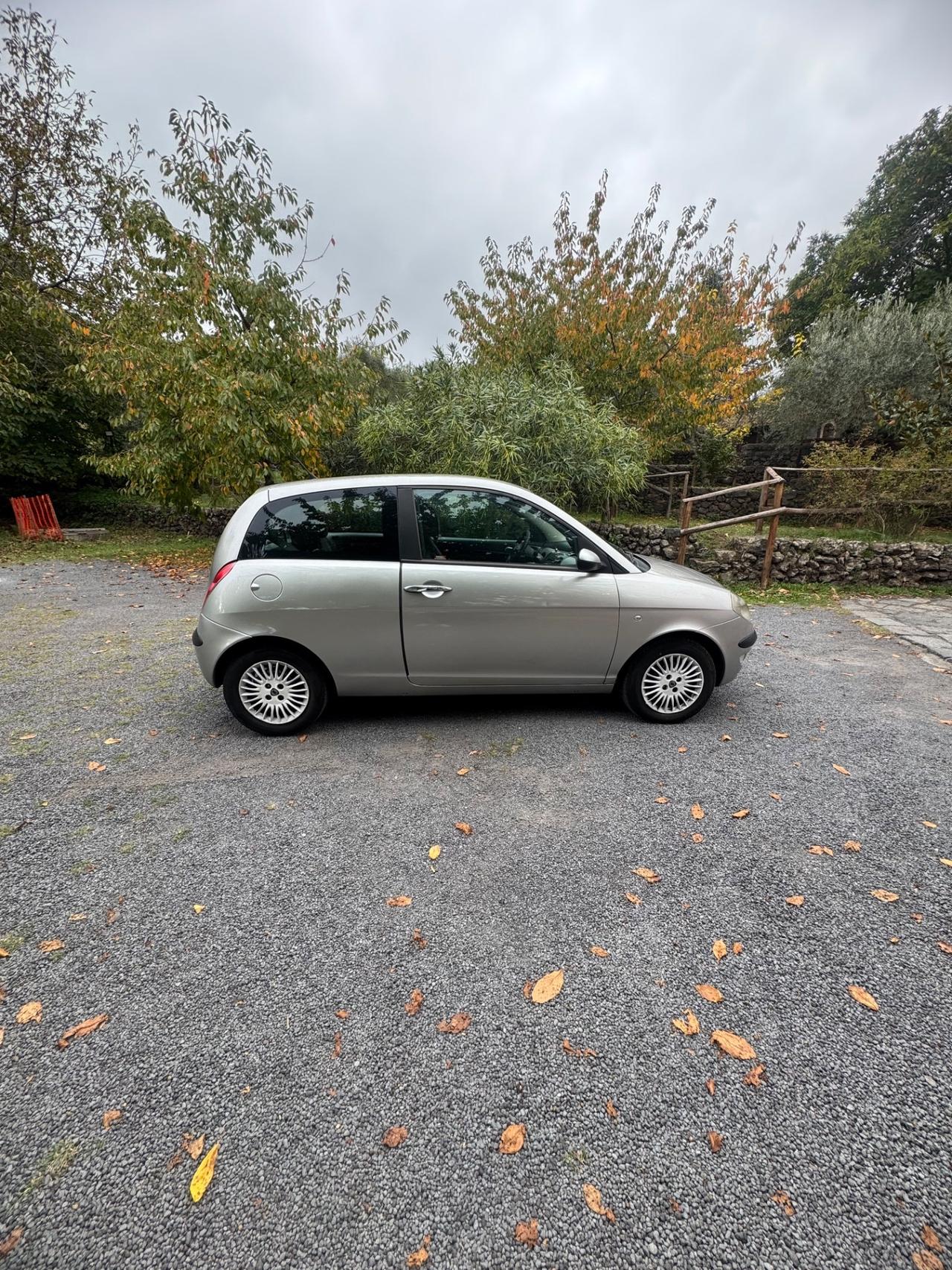 Lancia Ypsilon 1.3 Multijet 16V Platino