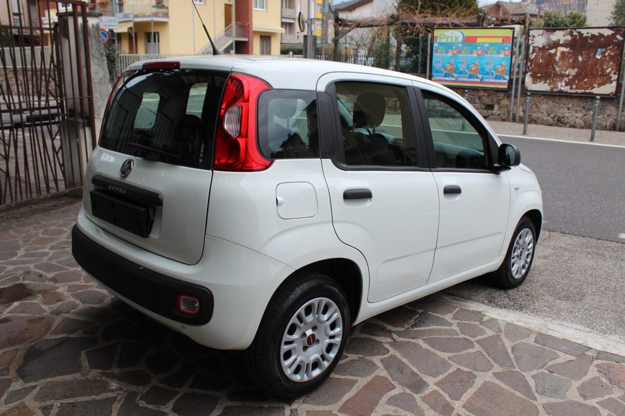 Fiat Panda 1.2 Easy star Neopatentati 5 posti