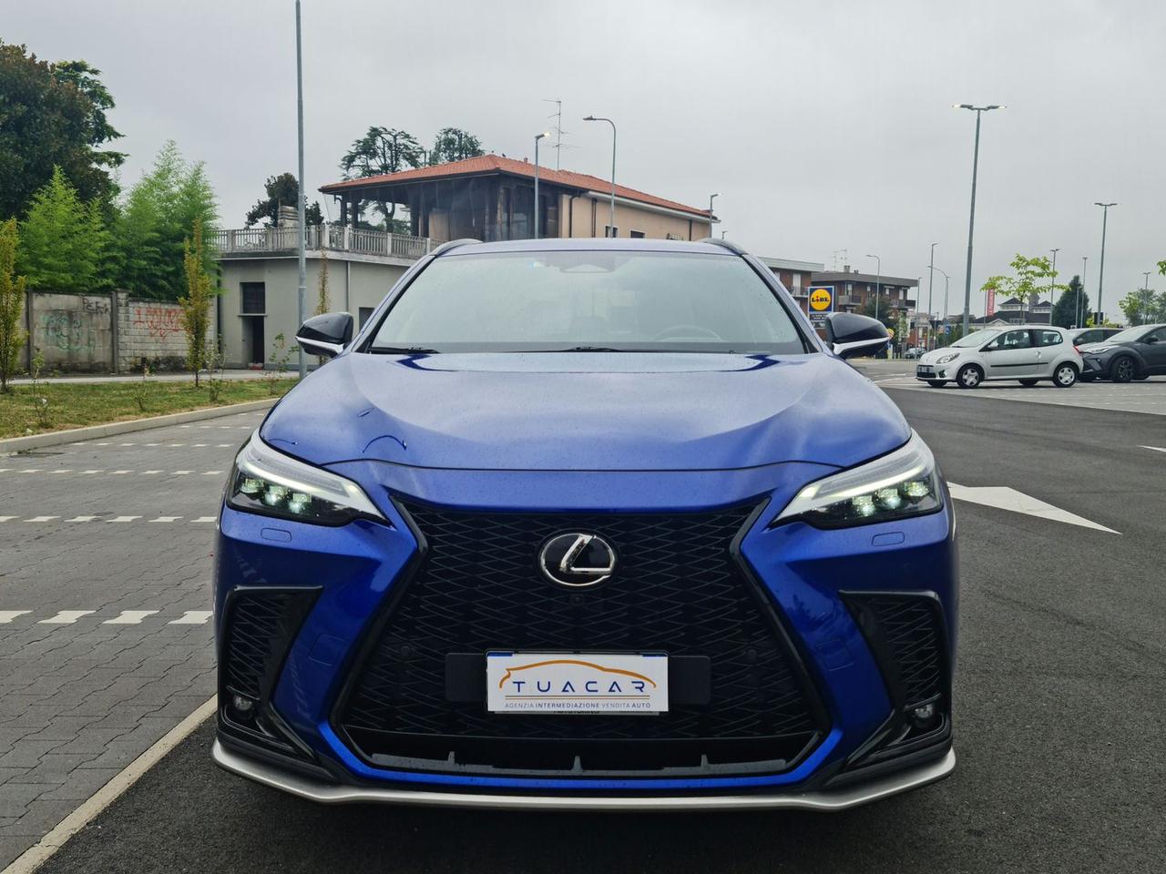 Lexus NX 350 h #6372