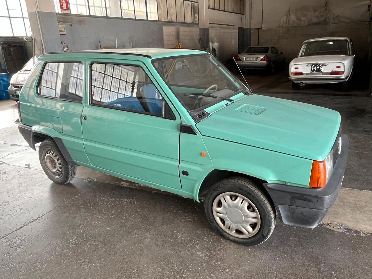 Fiat Panda 1100 i.e. cat Young