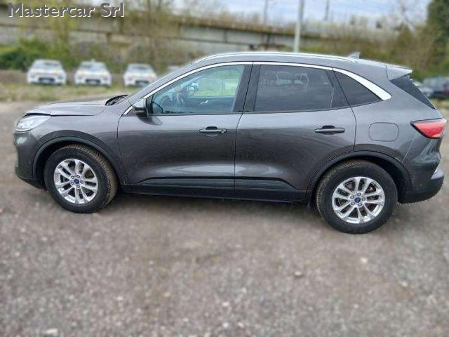 FORD Kuga Kuga III 1.5 ecoblue Titanium Business 2wd 120cv