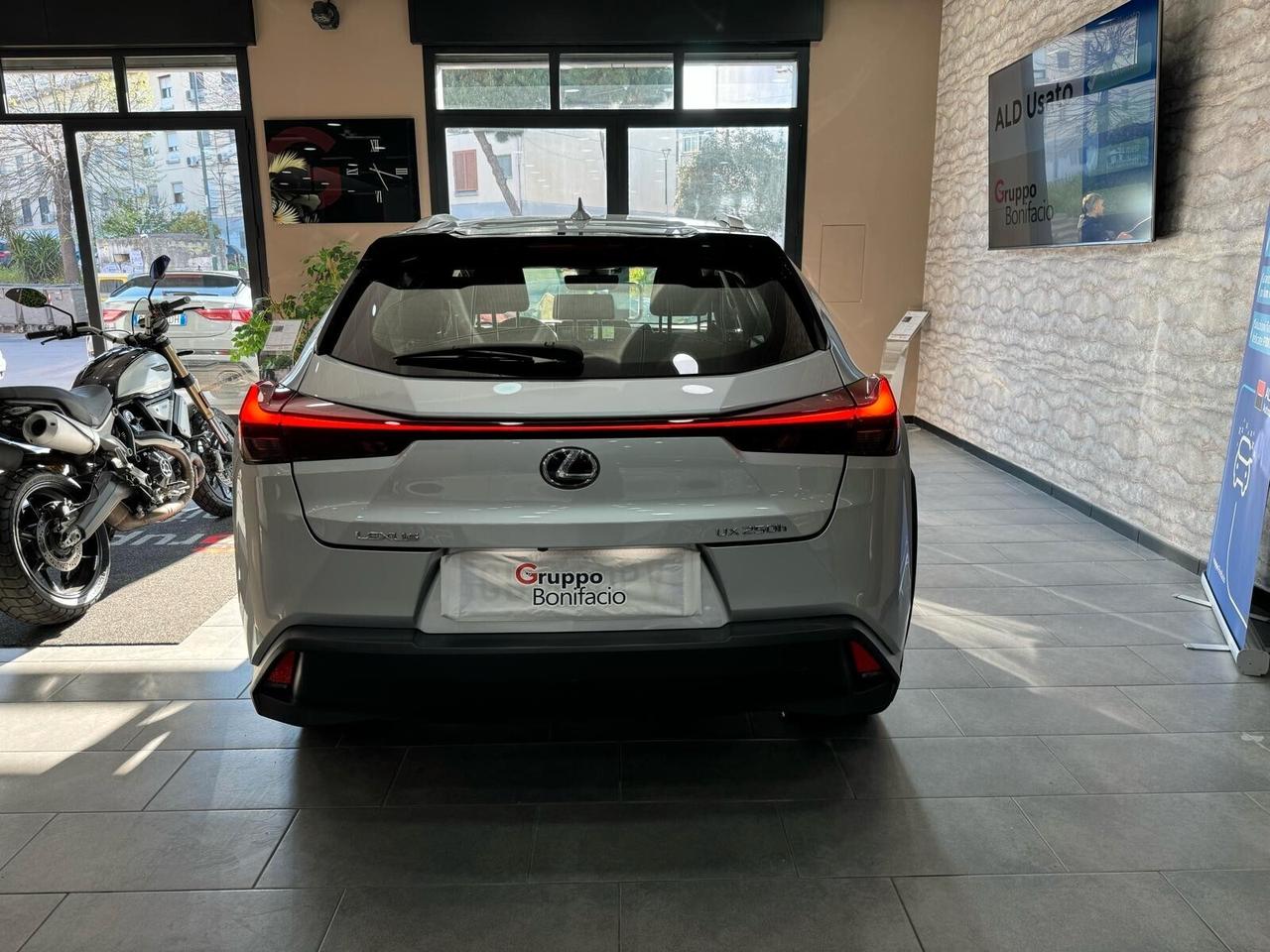 Lexus UX 250 Hybrid Business 2wd cvt my20