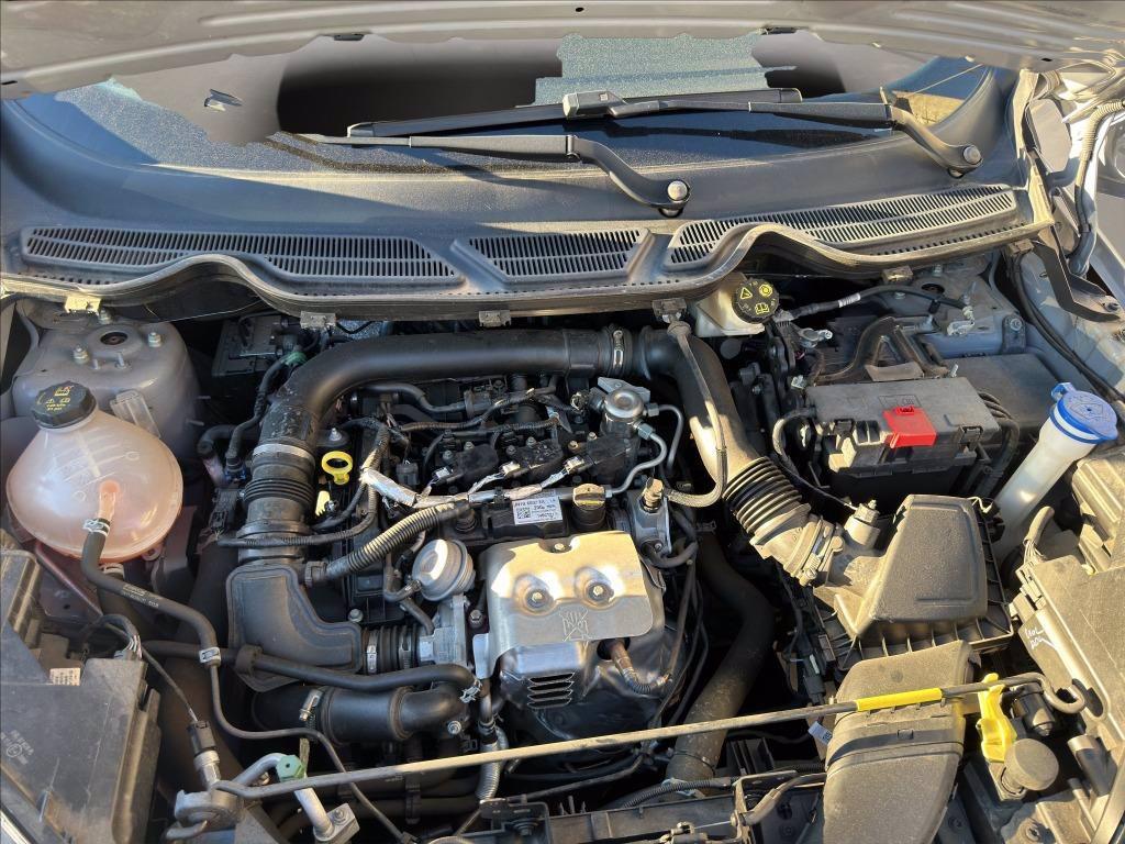 FORD EcoSport 1.0 ecoboost Active s&s 125cv del 2021