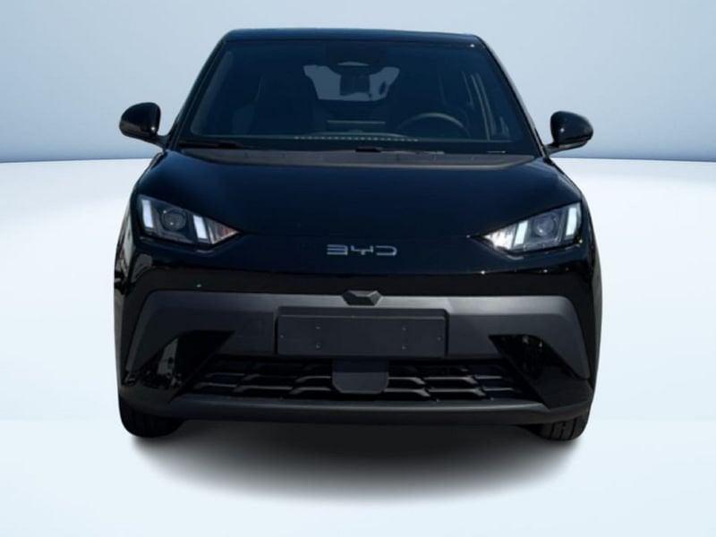 BYD Dolphin Surf Boost