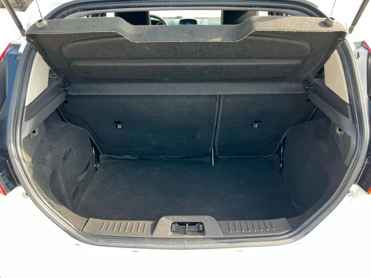 Ford Fiesta 1.5 TDCi 75CV 5 porte Titanium