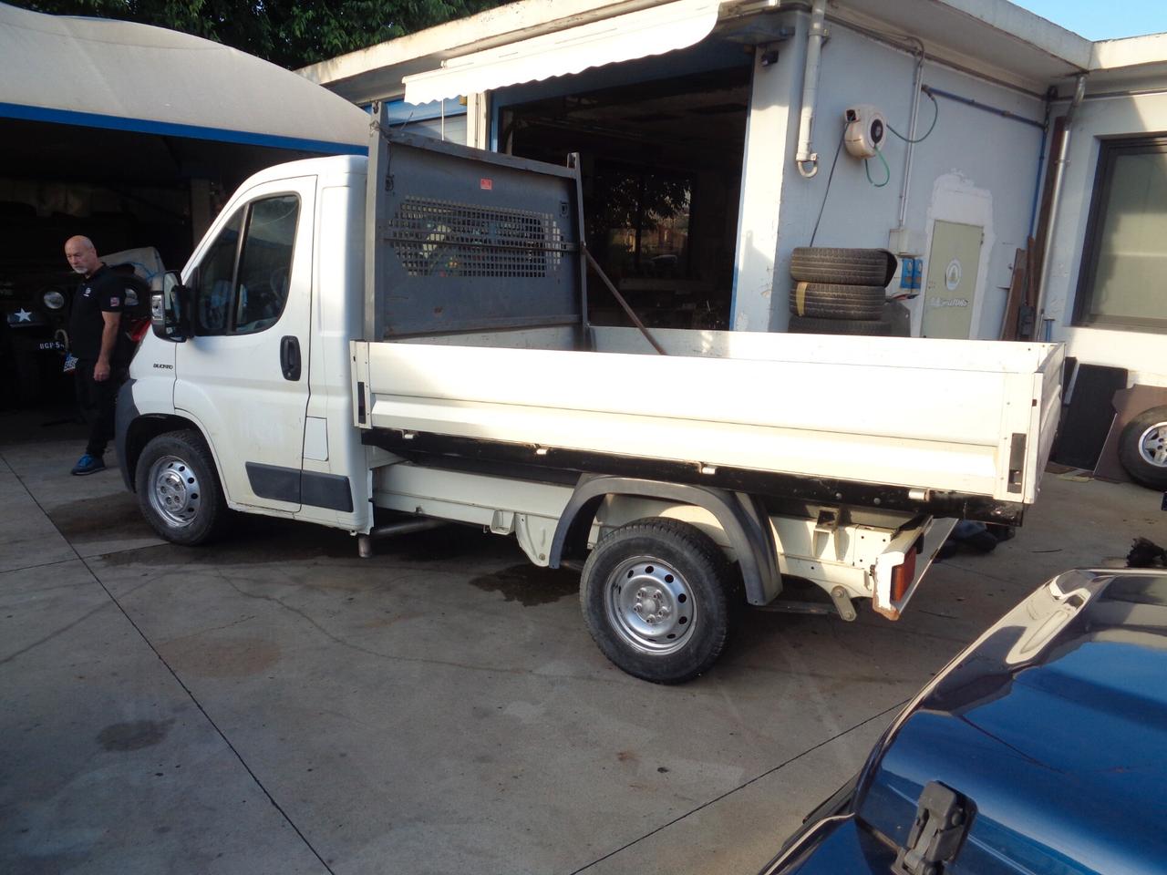 Fiat Ducato cassonato