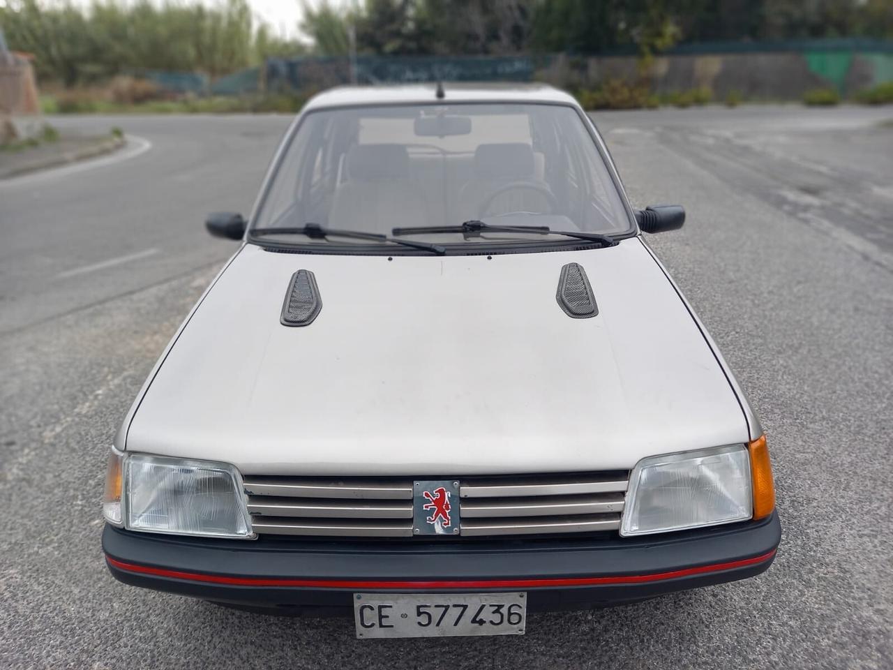 PEUGEOT 205 1988 NO RUGGINE