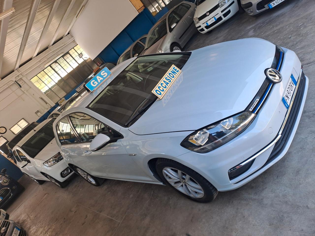 Volkswagen Golf 1.4 TGI 5p. Executive BlueMotion