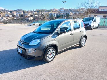 Fiat Panda 1.0 FireFly Hybrid City Life 2023