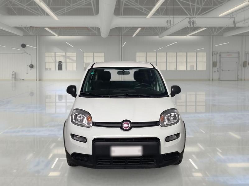 FIAT PANDA 1.0 FireFly 70cv S/S Hybrid 5 PORTE