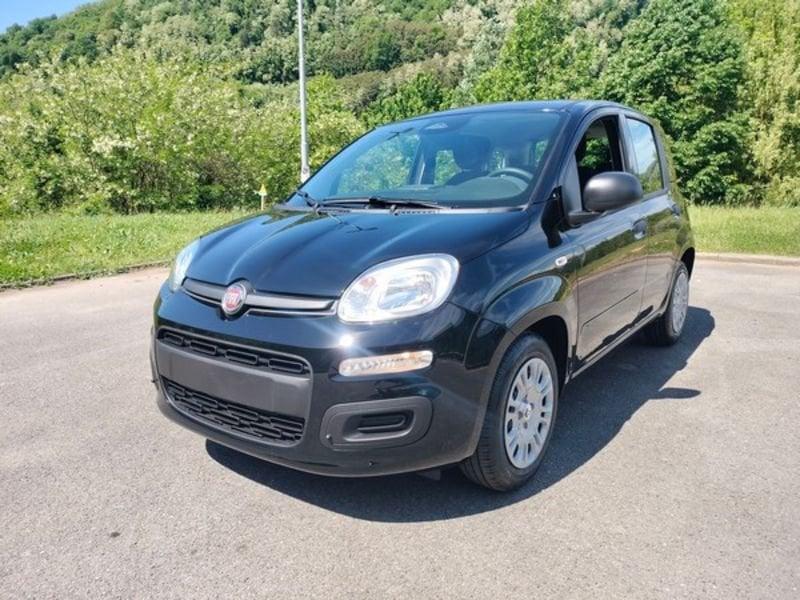 FIAT Pandina 1.0 FireFly 65cv S&S 6m Hybrid Icon