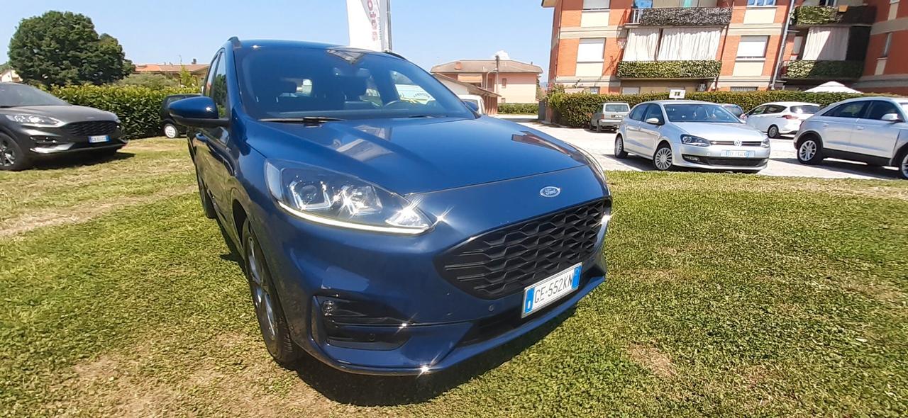 Ford Kuga 1.5 EcoBlue 120 CV aut. 2WD ST-Line