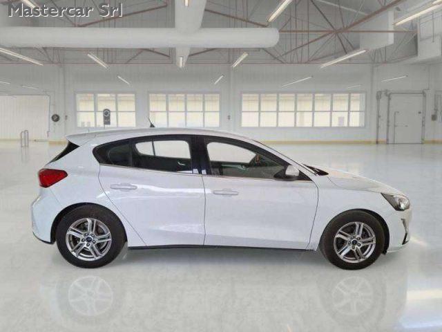 FORD Focus Focus V 2018 1.5 ecoblue Business Co-pilot s - GF8