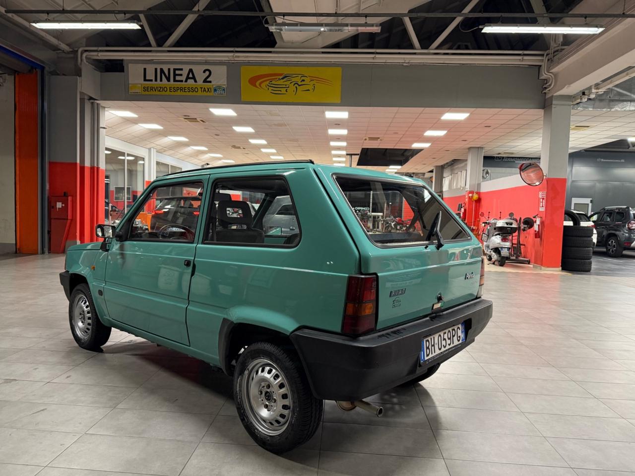 Fiat Panda 900 i.e. cat Young