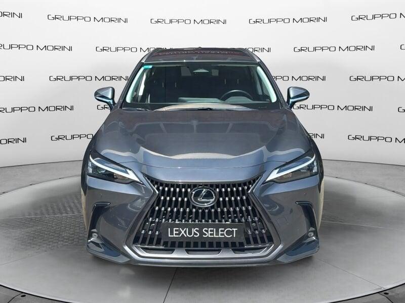 Lexus NX Plug-in Premium+ 4WD