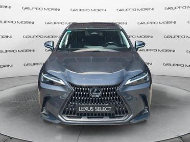 Lexus NX Plug-in Premium+ 4WD