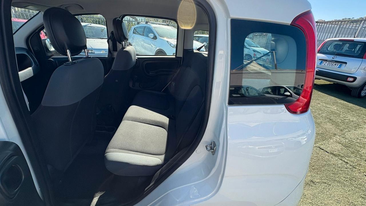 Fiat Panda 1.2 312PXA1A | BENZINA| 169A4000 CC 1242 CV 69 KW 51 BERLINA, 5 P.
