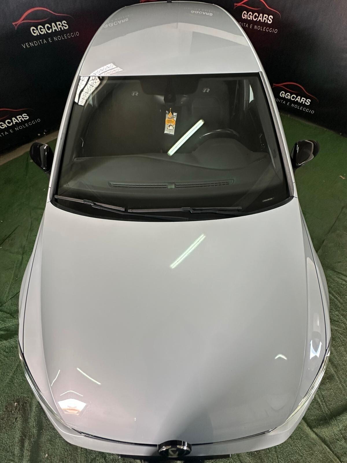 Volkswagen Golf GTI Performance 2.0 TSI 5p. BlueMotion Technology