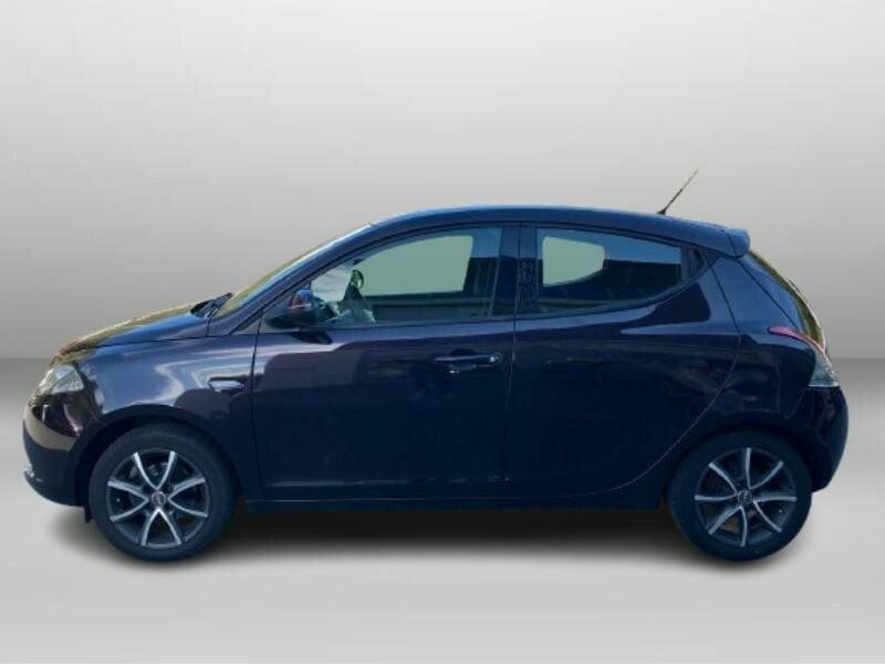 Lancia Ypsilon Ypsilon 1.2 69 CV 5 porte Platinum