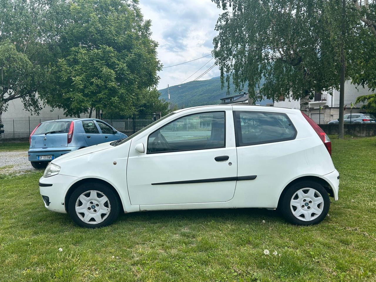 Fiat Punto 1.3 Multijet 16V