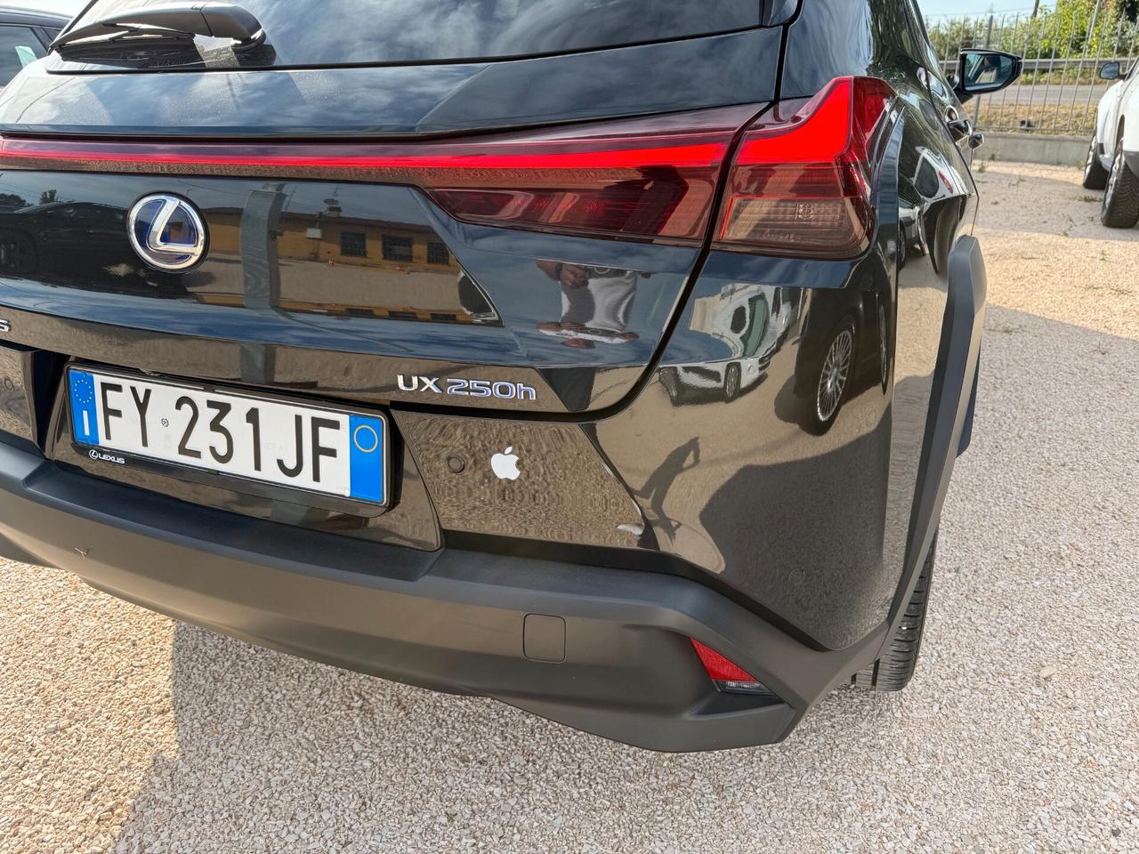 Lexus UX UX250H Hybrid Premium 184cv 2.0 2wd cvt my20