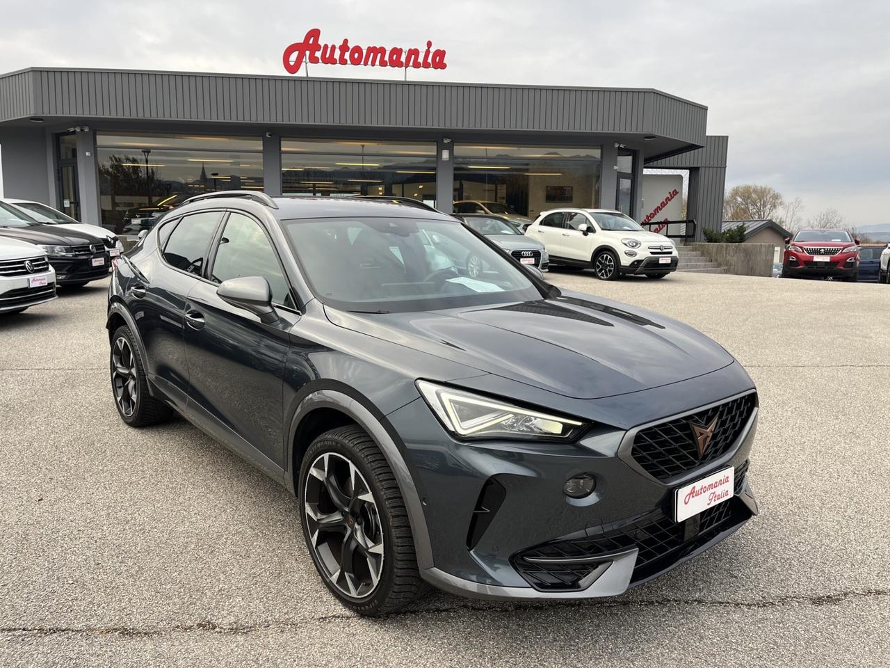 CUPRA FORMENTOR 2.0 TDI 150 CV 4X4 DSG N1 Autoc.