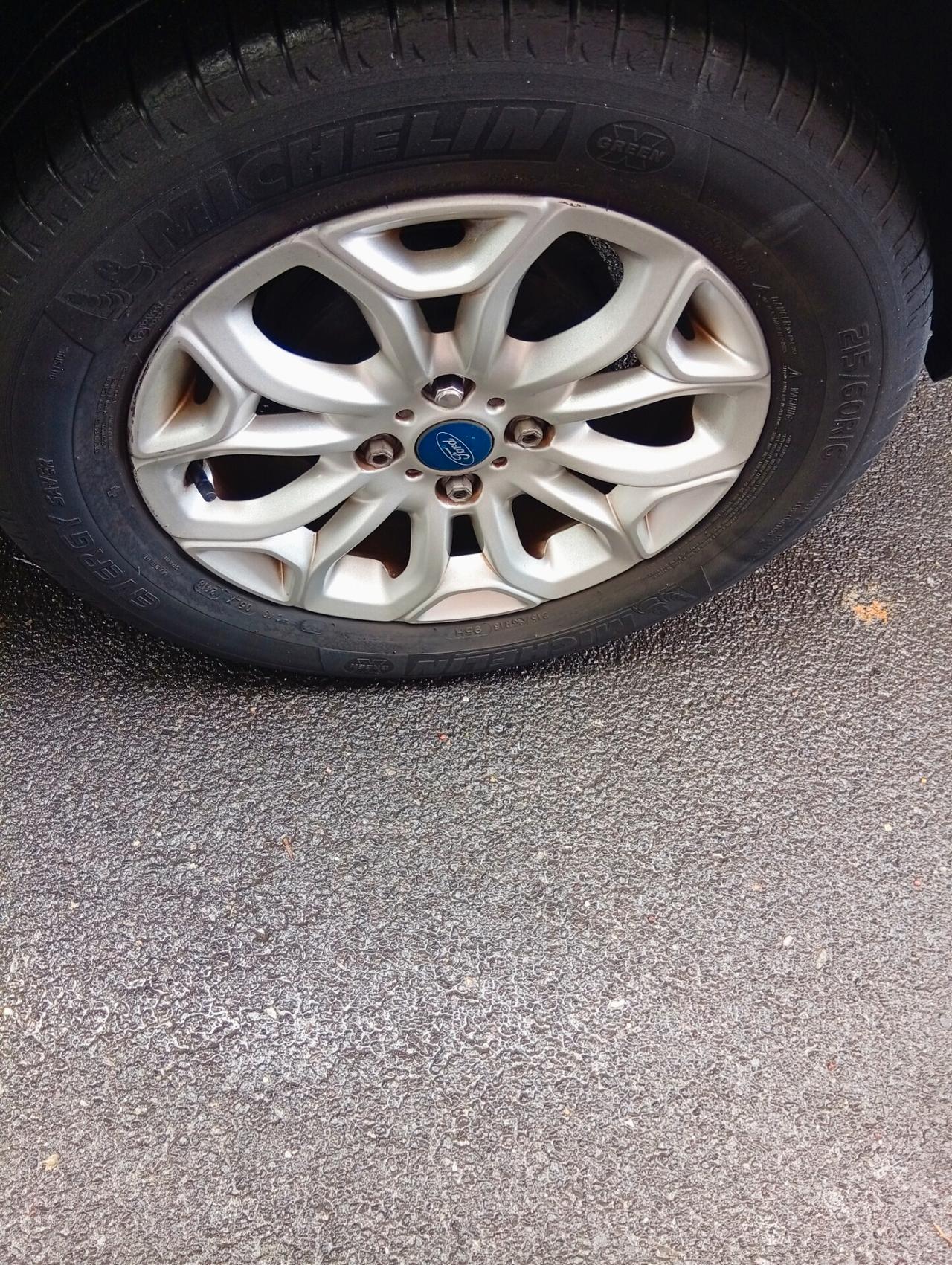 Ford EcoSport 1.5 TDCi 95 CV Titanium S