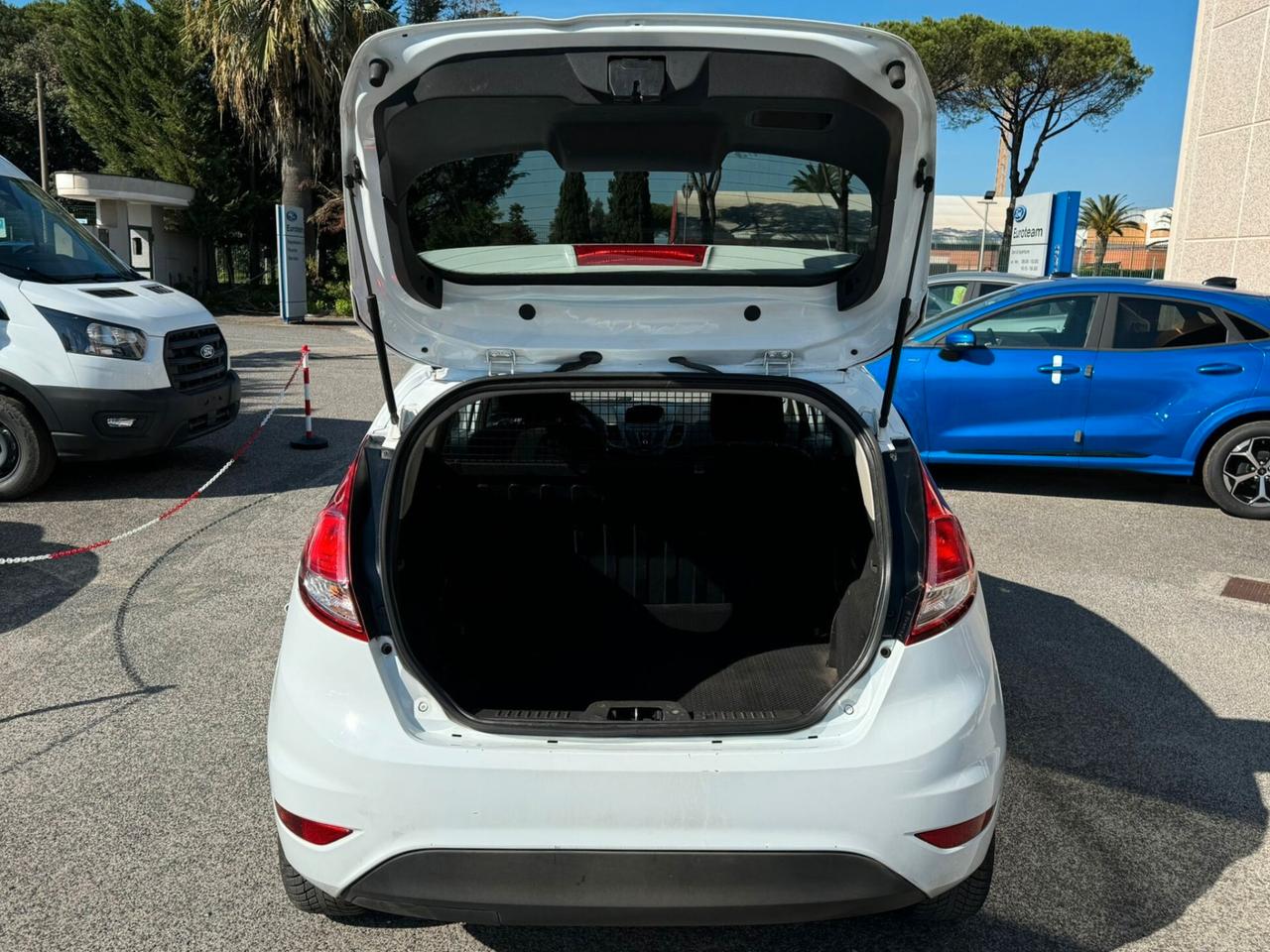 Ford Fiesta 1.5 TDCi 95CV 3 porte Van Entry