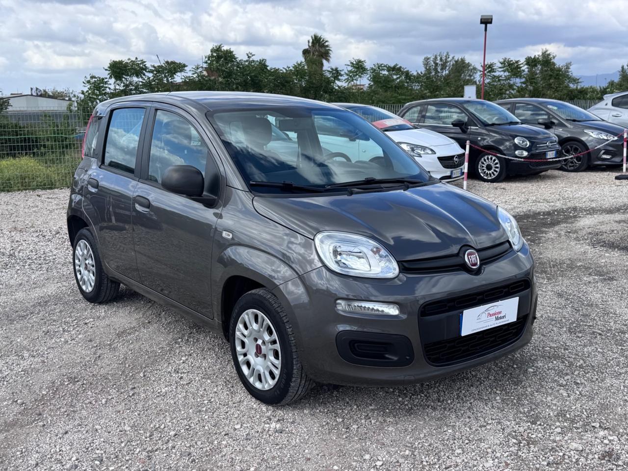 Fiat Panda 1.2 Easy