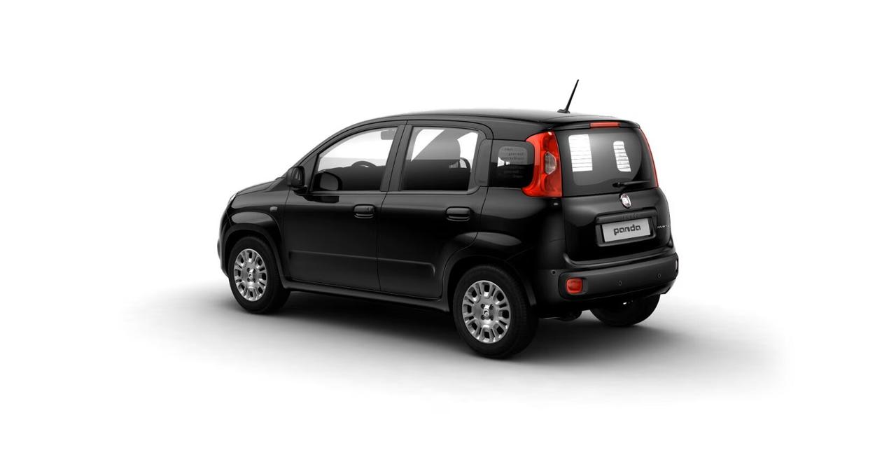 FIAT Pandina Pandina 1.0 FireFly 65 CV Hybrid Icon