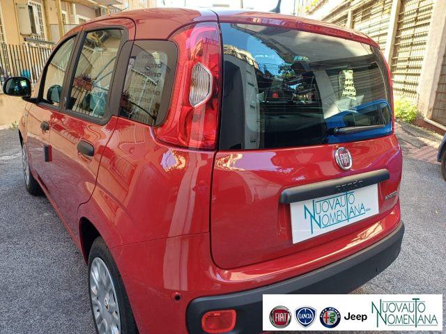 FIAT Panda 1.0 FireFly S&S Hybrid Icon 5°Posto Auto Nuova
