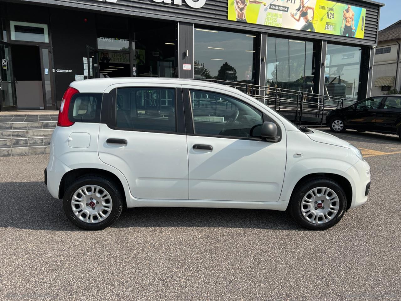 FIAT Panda 1.2 Easy Van 4 posti + IVA