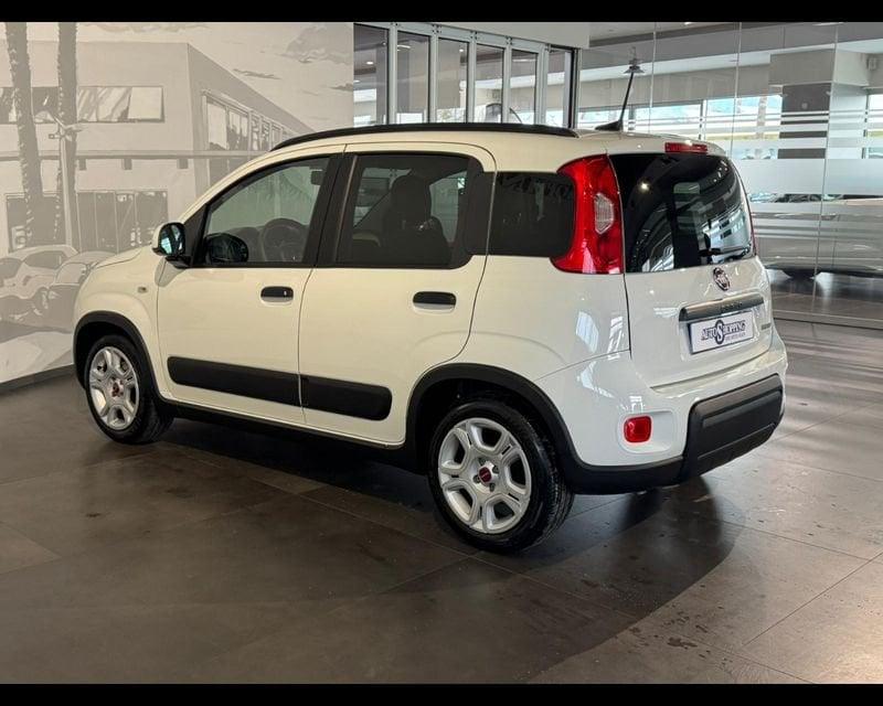 FIAT Panda 3ª serie 1.0 FireFly S&S Hybrid City Cross