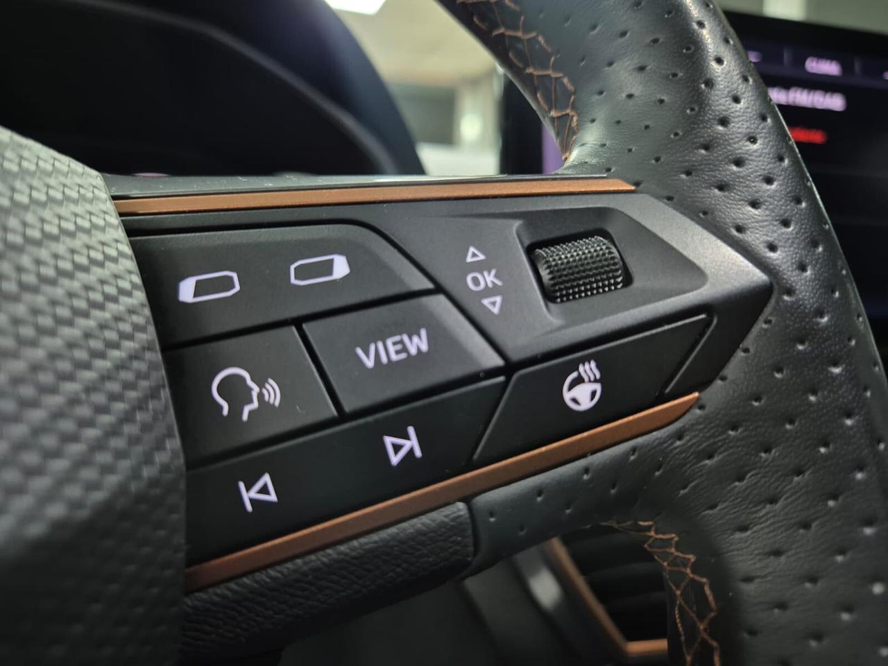 Cupra Formentor 2.0 TDI 150CV 4Drive DSG