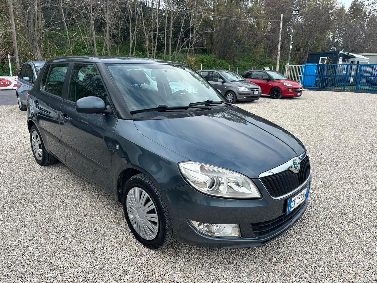 Skoda Fabia 1.6 TDI CR 90CV 5p. Ambition