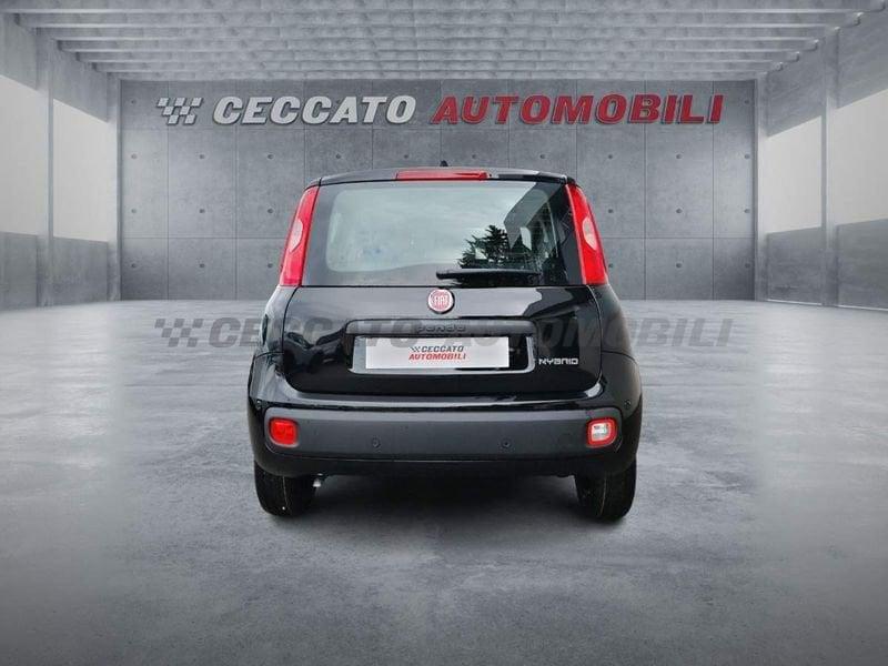FIAT Panda Panda 1.0 firefly hybrid s&s 70cv