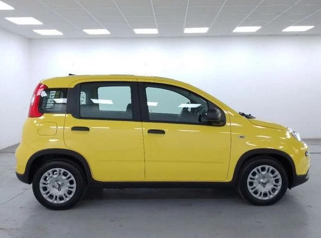 FIAT Panda 1.0 FireFly S&S Hybrid Pandina PREZZO REALE